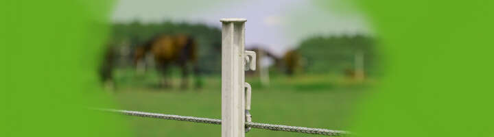 weidezaunpfahl kategorieeinstiegsbanner